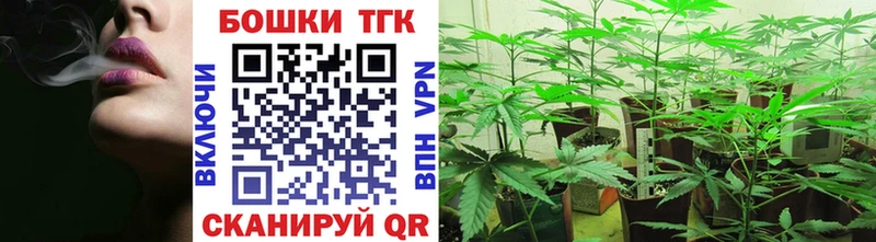 Купить наркотики цена Кириши СК  КОКАИН  ГАШ  Псилоцибиновые грибы  Канабис 