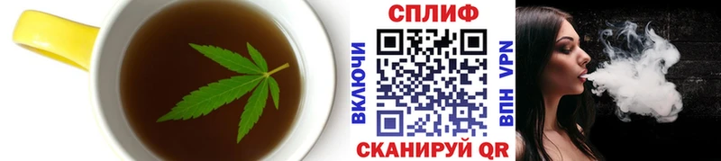 mega маркетплейс  Кириши  Печенье с ТГК марихуана  купить  цена 
